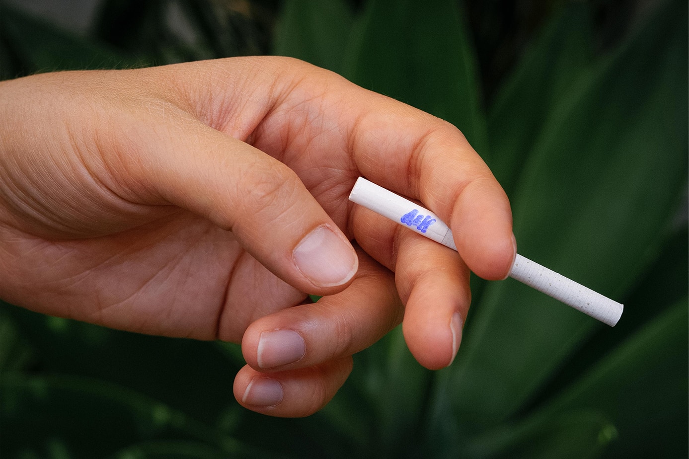 Slim Hemp CBD Pre-rolls – Monthly Subscription
