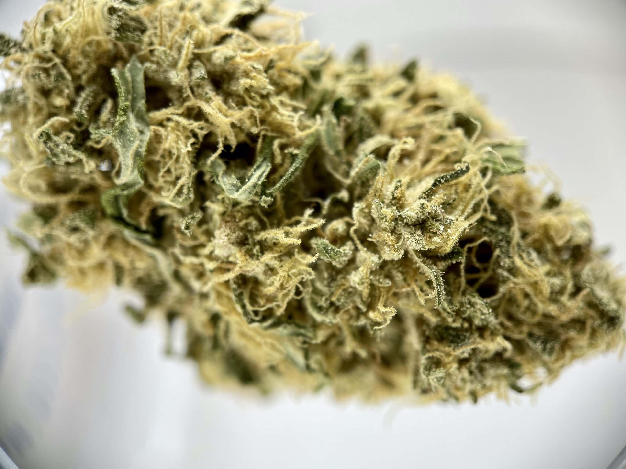 CBG Hemp Flower