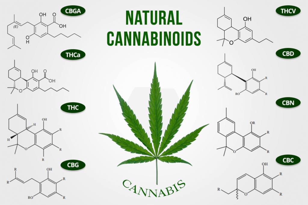 Cannabinoid Chemicals